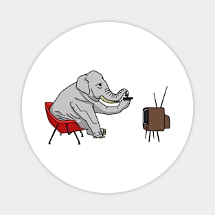 Elephant watching television Magnet